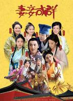 三妻四妾国语免费观看第100集