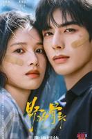 野狗骨头在线看免费观看全集高清版